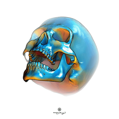 Blue Skull Collection