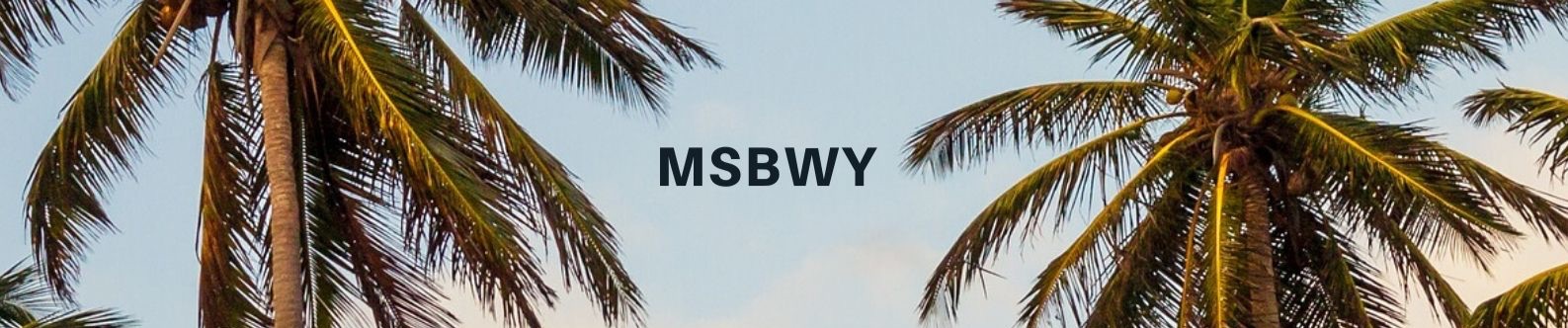 msbwy banner