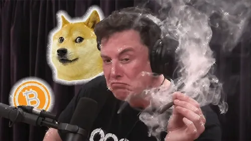 Blunts DOGEs and Billionaires