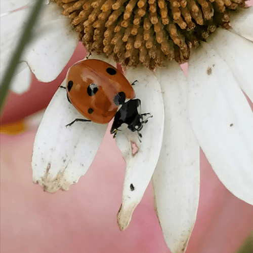 Natur im Sauerland