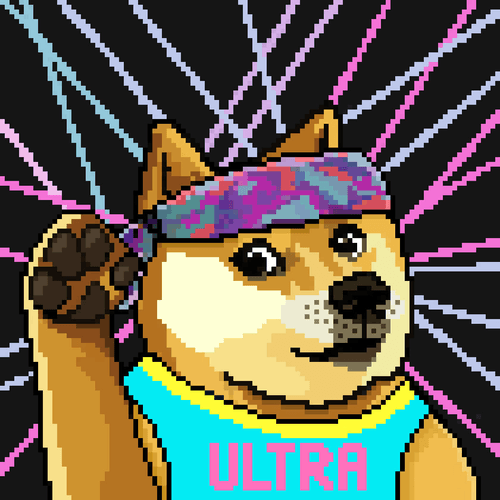 Dogepunks #28 - EDM Festival Doge