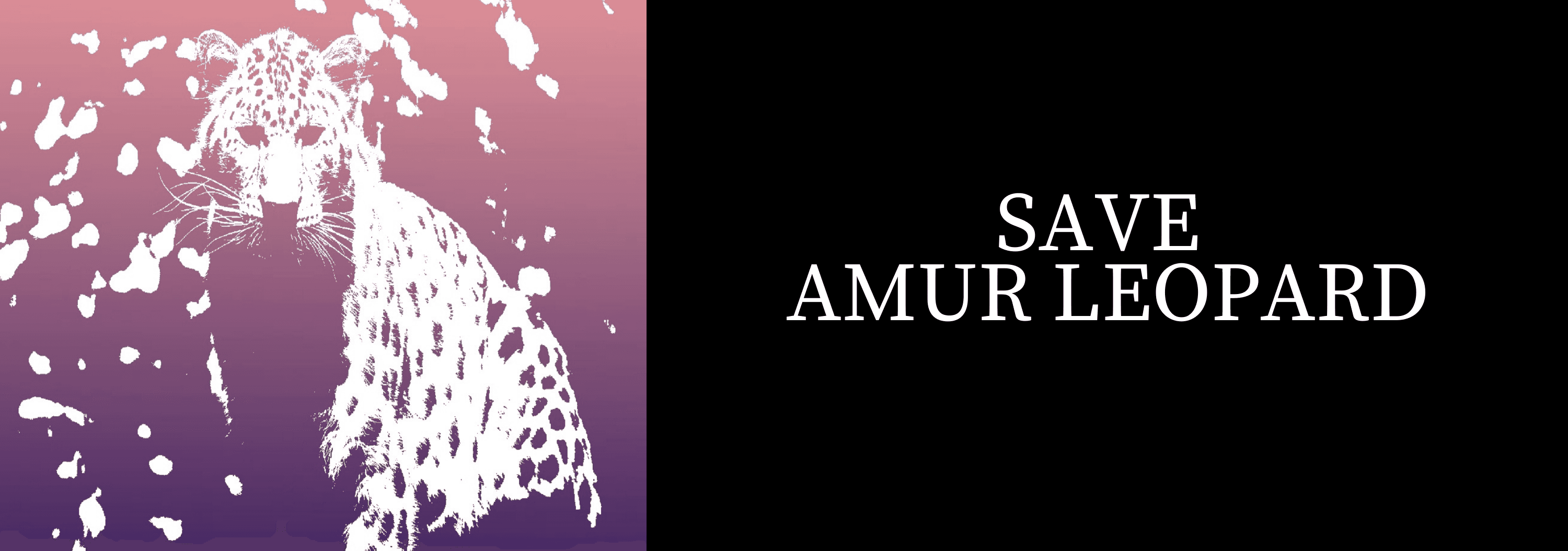 SAVE AMUR LEOPARD - Collection | OpenSea