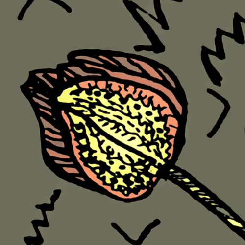 Doodlician Epoch
