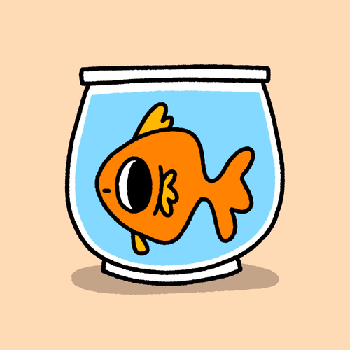 Goldfish in the bowl