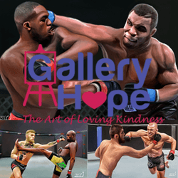 Dream MMA and Boxing Superfight Series collection image