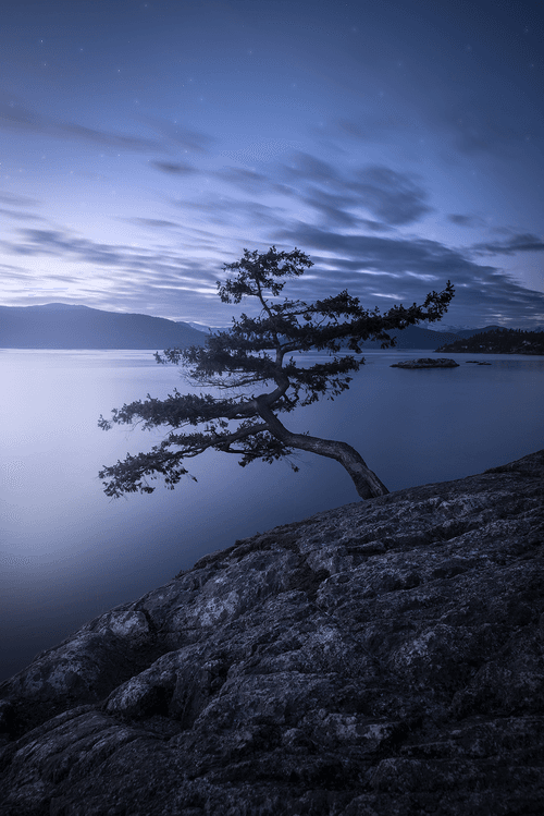 Boundless Solitude