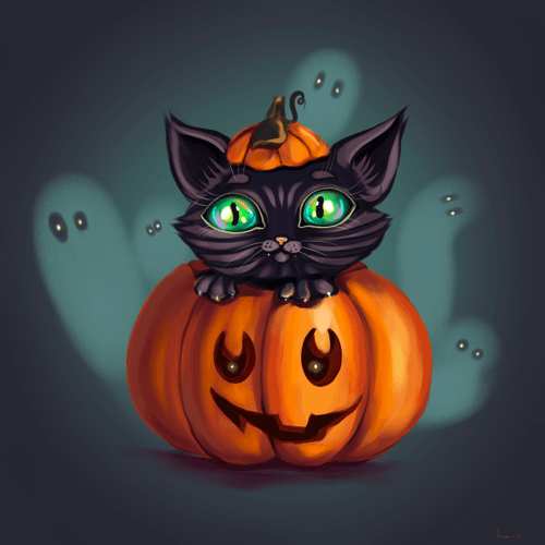 pumpkin cat