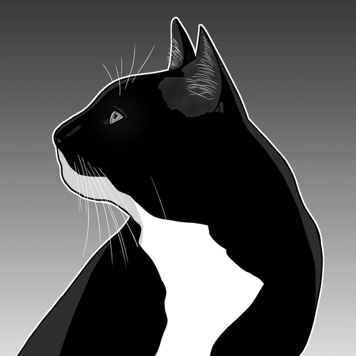 Black cat #02