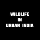 Wildlife in Urban India