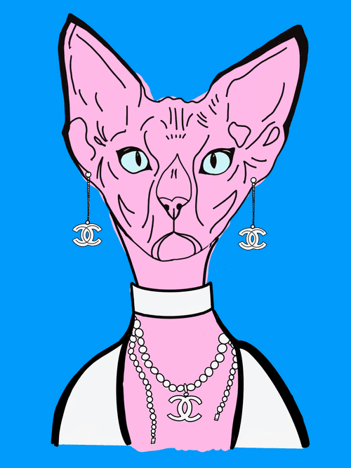 Coco Cat, Designer Sphynx #5