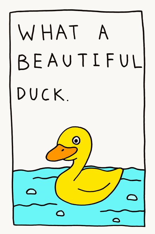 BEAUTIFUL DUCK