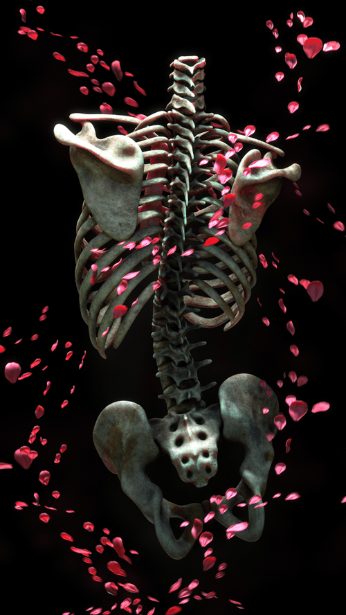 Bones of Nature