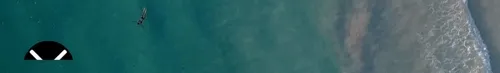 link3 fon