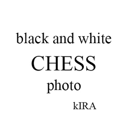 Chess.  Black and white. collection image