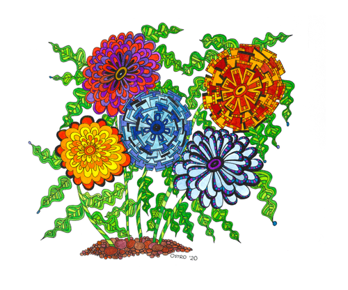 Judy Ostro - #33 - The Cheerful Collection in Captivity - (1/1)