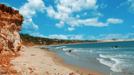 Brazilian Beaches