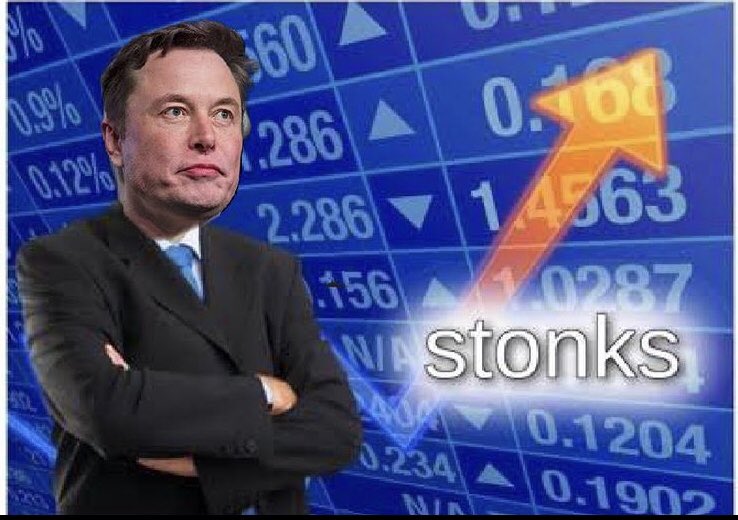 Elon Musk Stonks