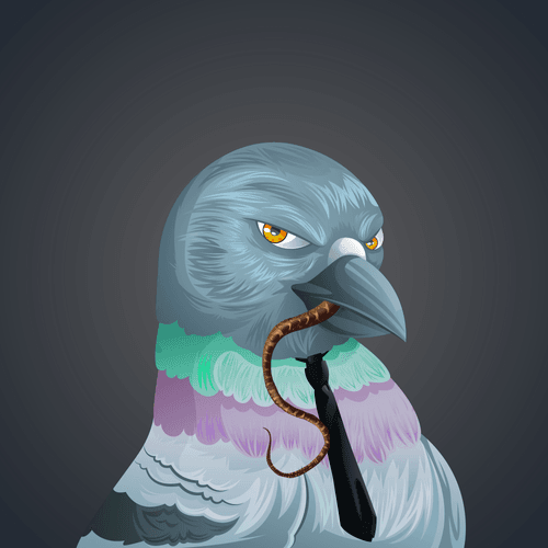 #1278 Pigeon