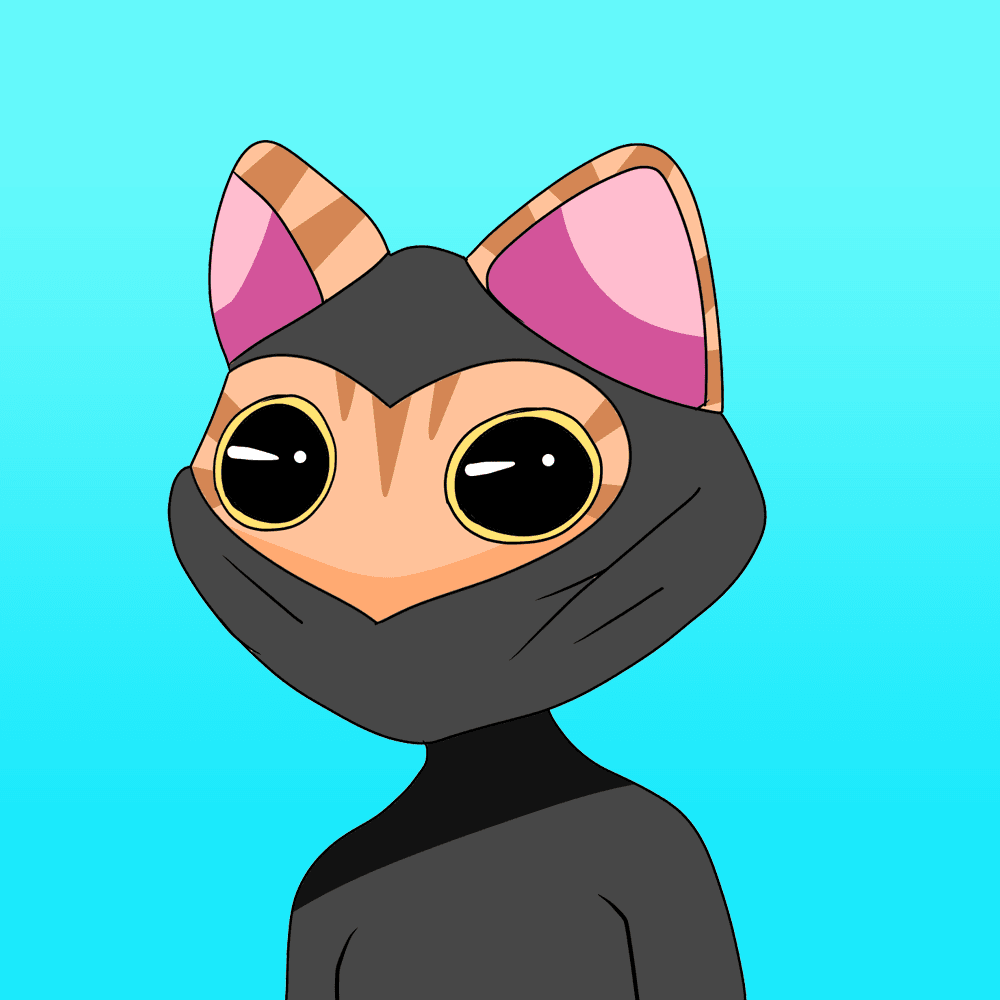 Ninja Cat Cute Ginger Cat NFT 5 Crypto Ninjas Nft OpenSea 