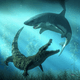 Aquatic Creatures