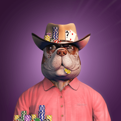 Pitbull Poker Player
