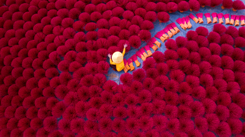 Drying incense-4