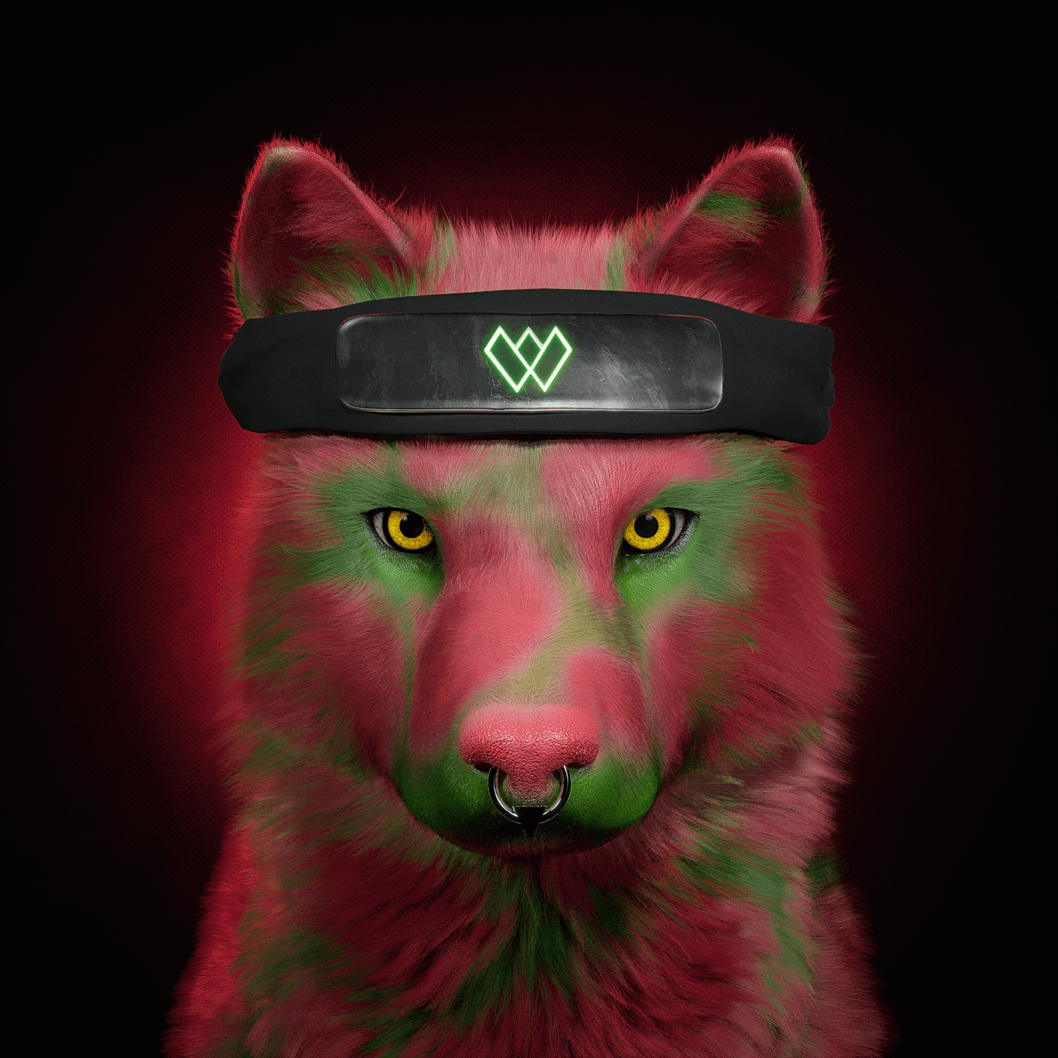 Wolf #664