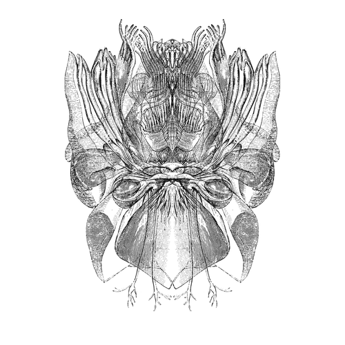 Biological Revelation 61