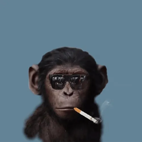 ApePunks