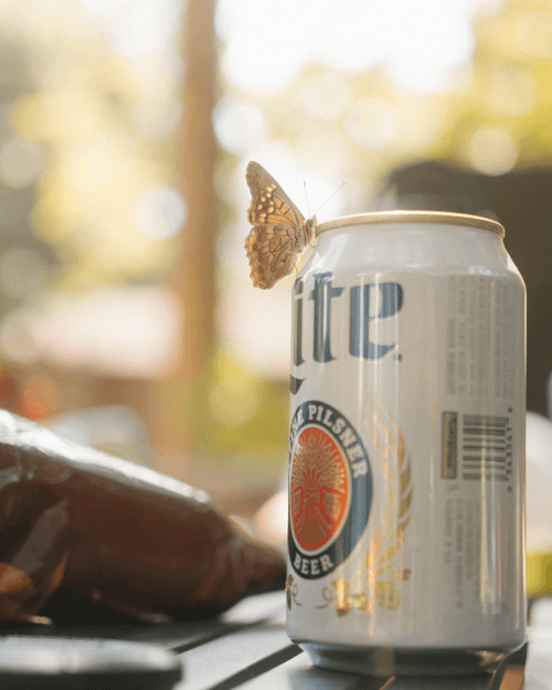 The Day Drinker