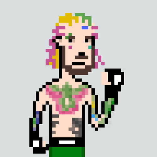 Fighting Punk - Sean O'Malley