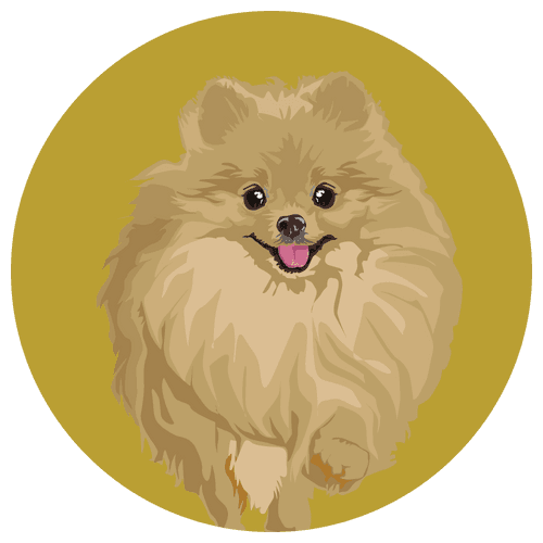 Altdoge #POM