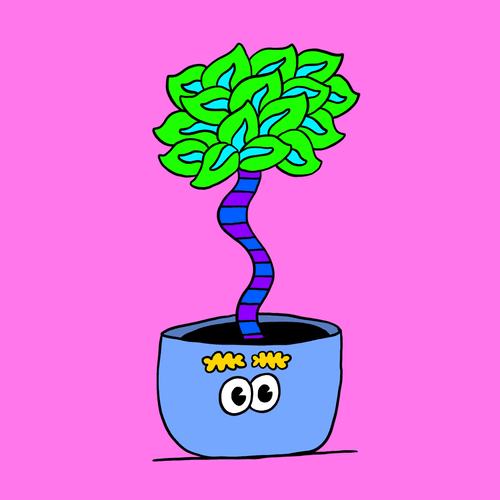 Vernon_PlantSwap #258