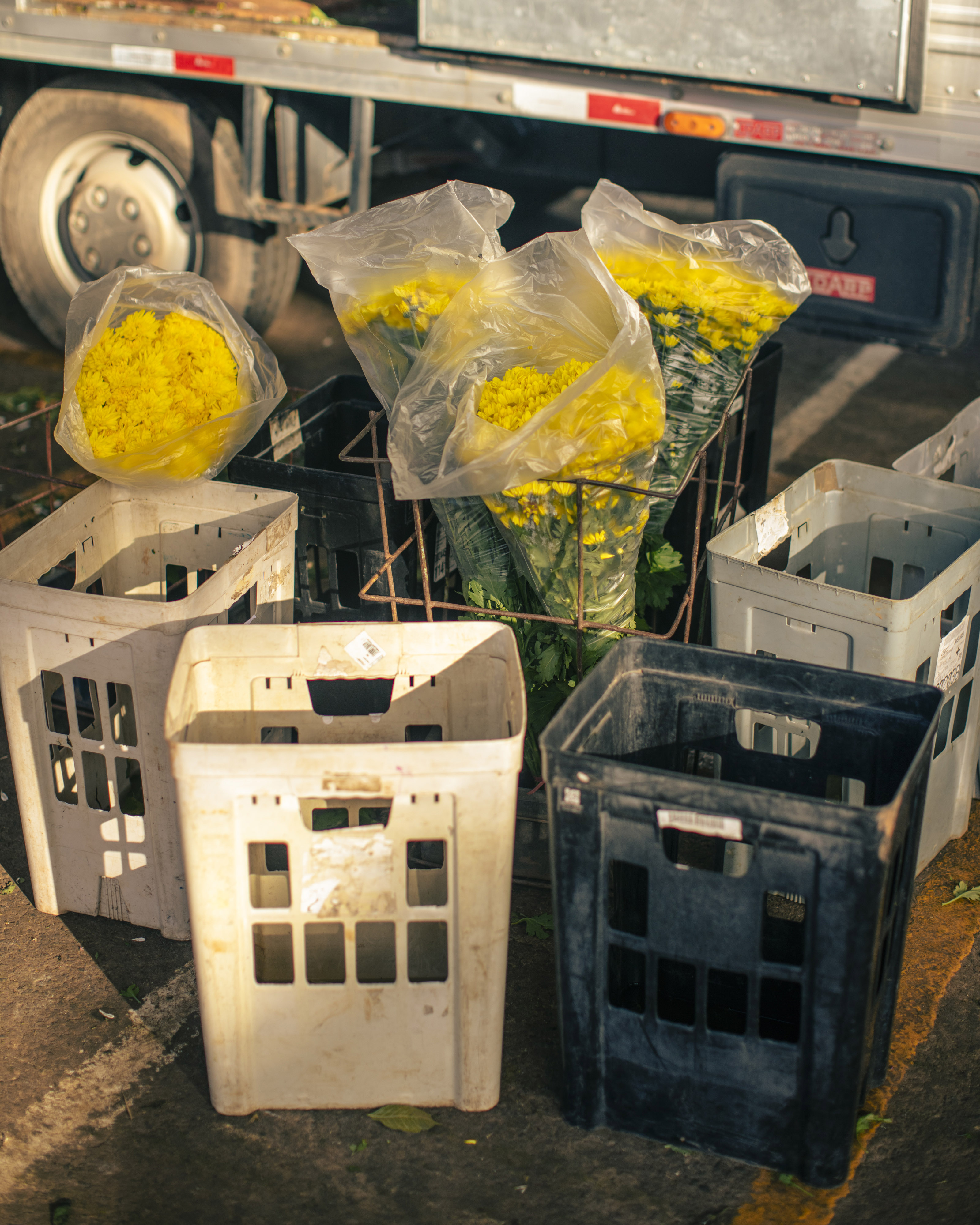 Desconstructo - Where flowers live in the city 04