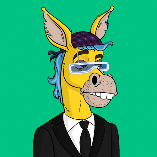 Criminal Donkey 305