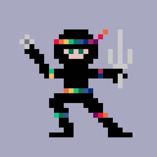 #29 Unique Cyber Ninja