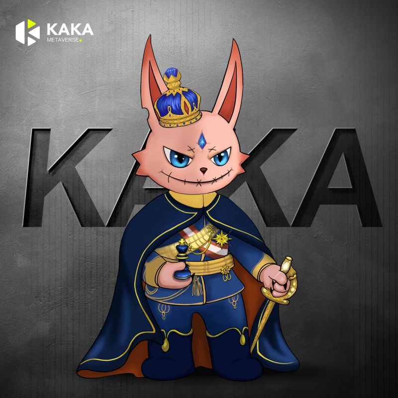 KAKA Rabbit #48