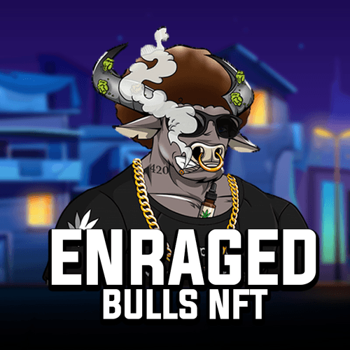 Enraged Bulls - NFT