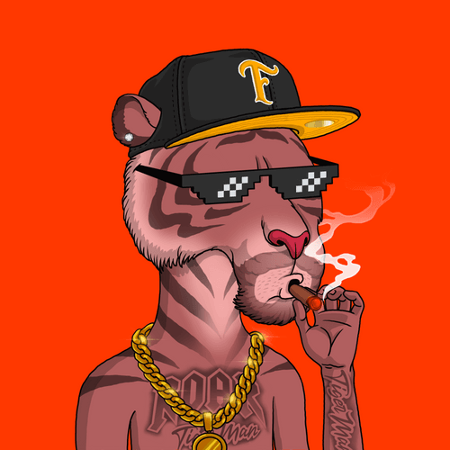 Tiger Man #0644