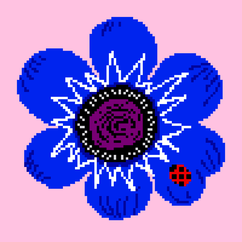 ManaOsawa Anemones BlueXPink