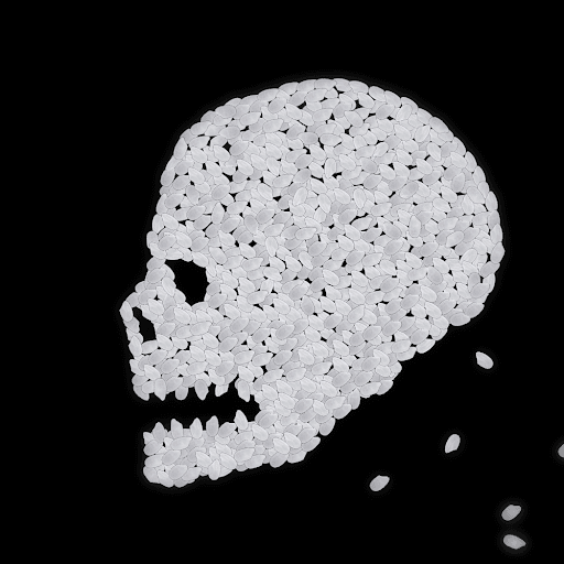 skull of rice grain
