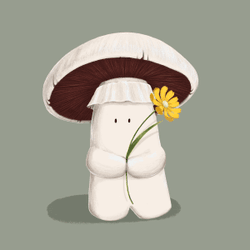 Mushrooms and Flowers collection image