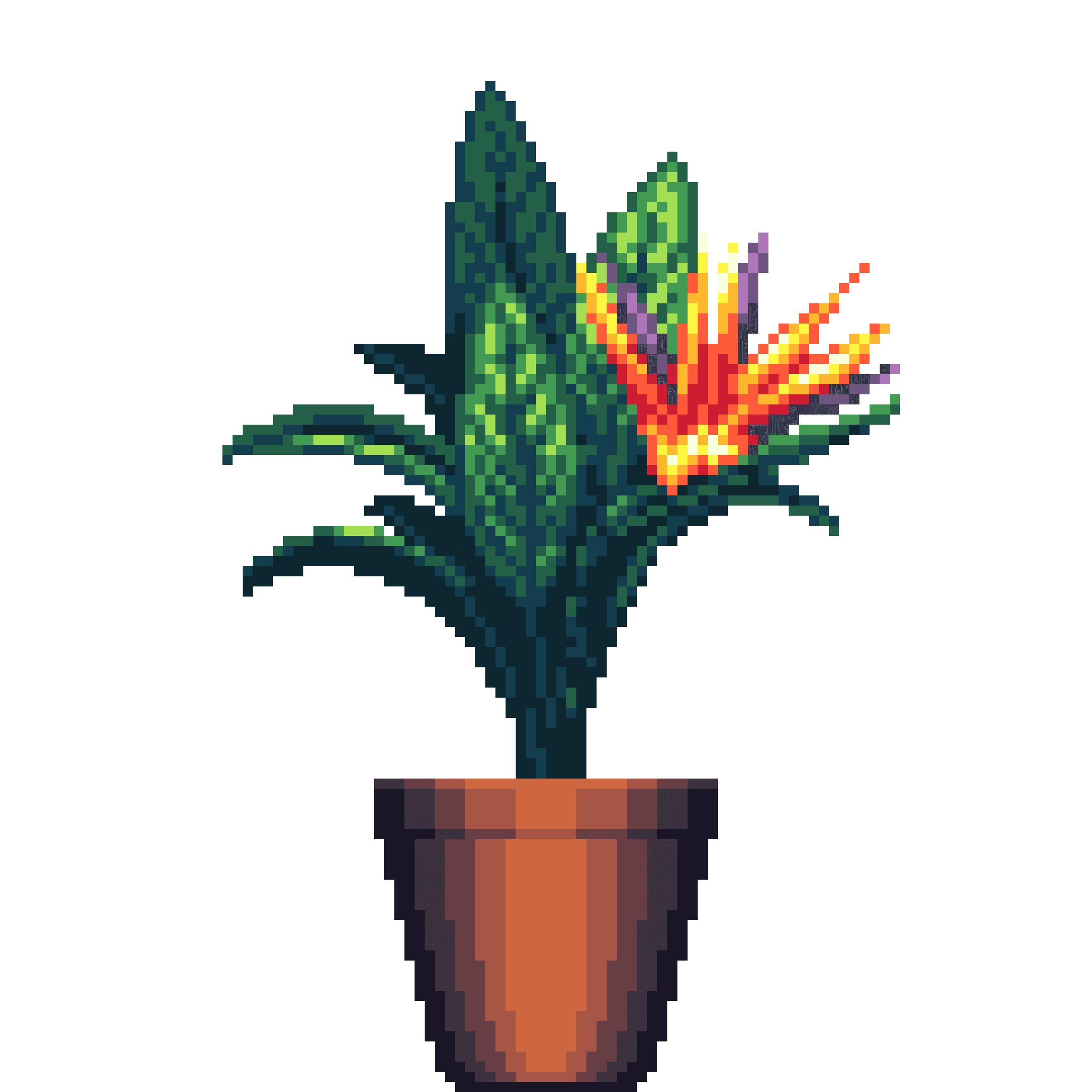 Bird of Paradise in Cone pot