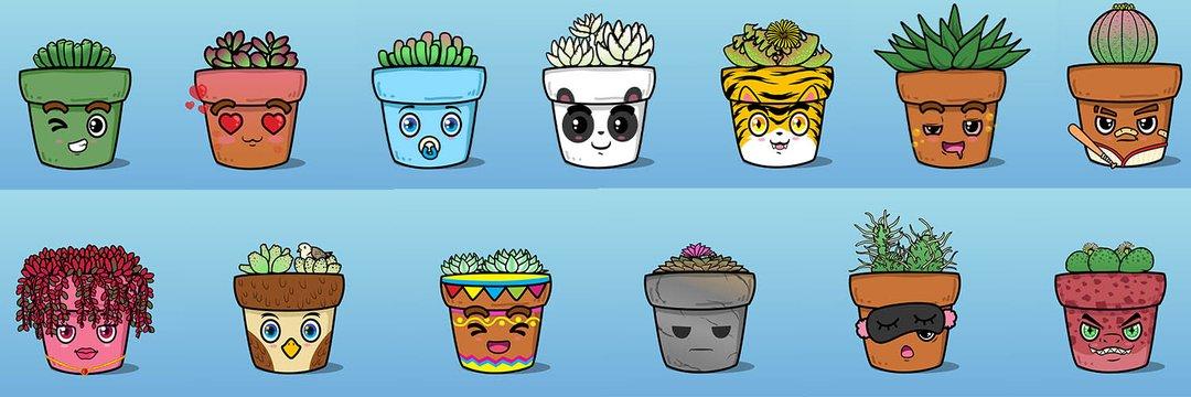 Silly_Succulents 배너
