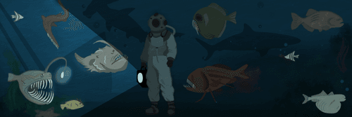 5 - Depth