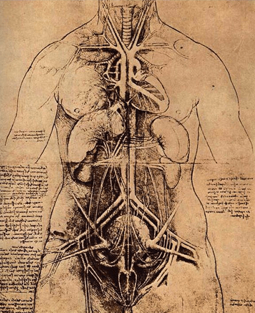 Da Vinci Collection