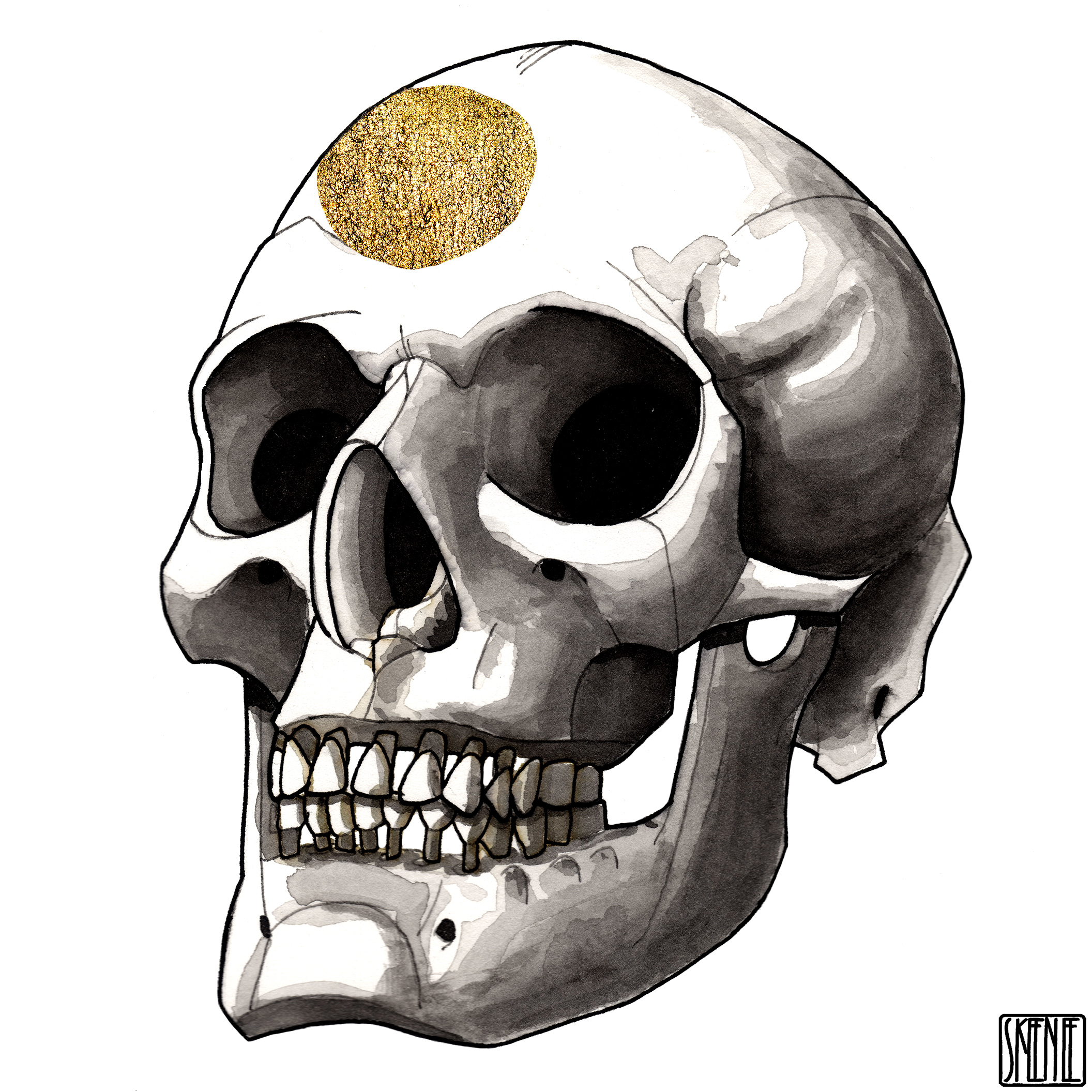 🎨40 | INK & GOLD | Human Skull 07