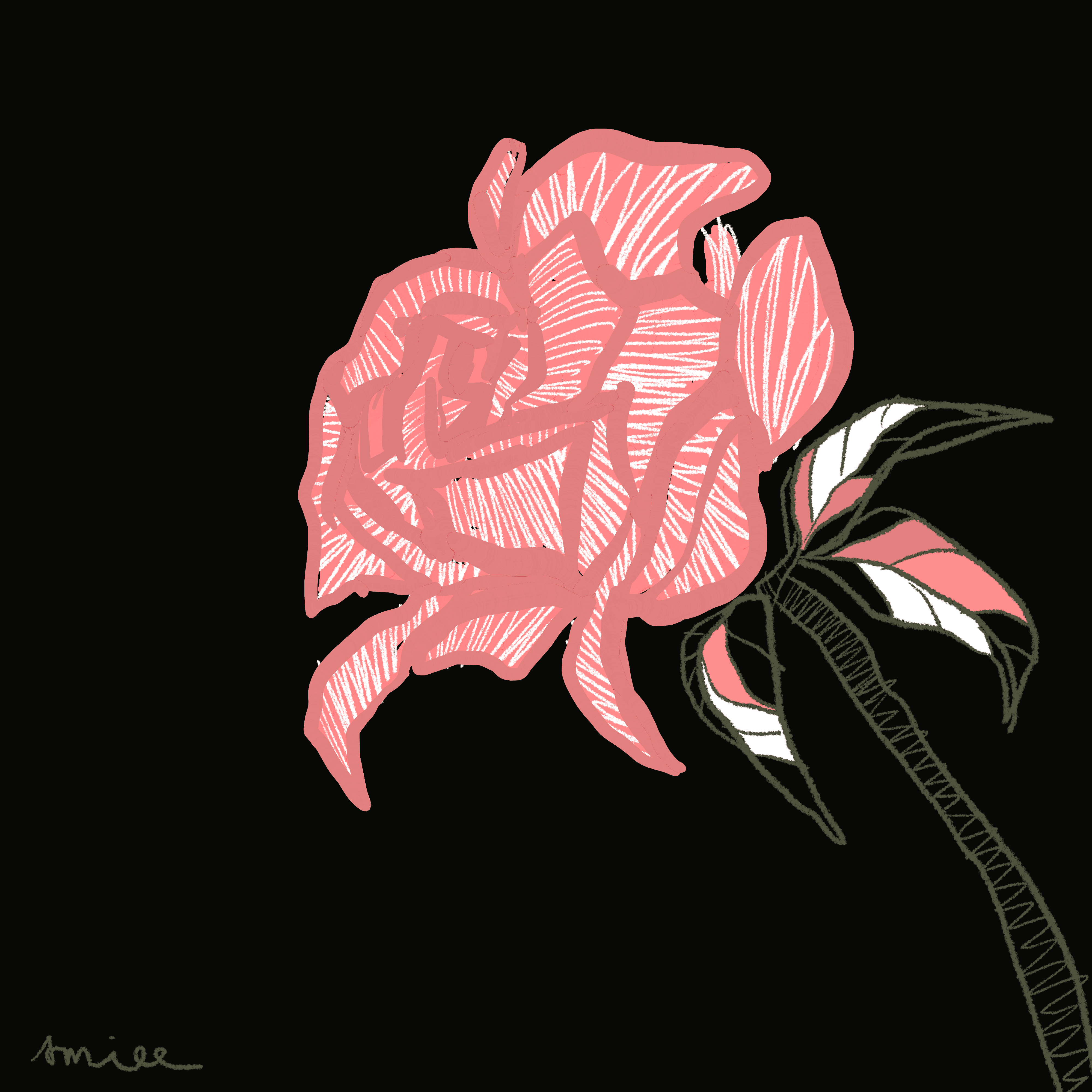 A rose lost in thought