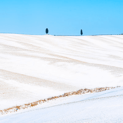 Tuscanys Leprechauns - Chapter I Winter by Leonardo Papra collection image