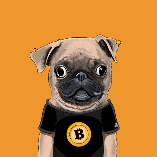Pug #0088